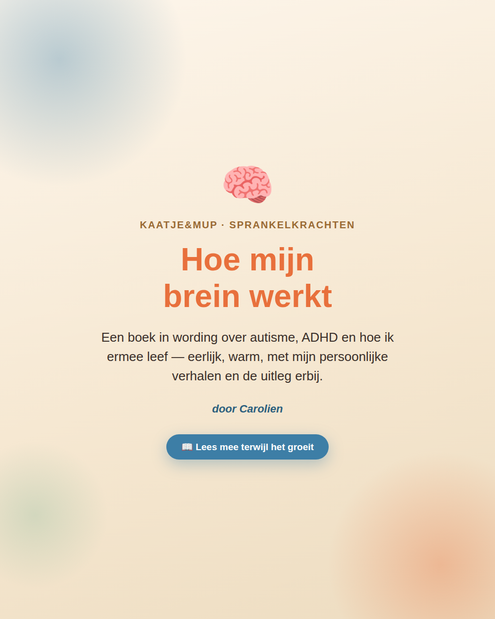 Hoe mijn brein werkt